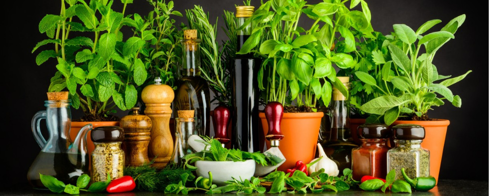 Fresh herbs from mini garden on countertop with spices