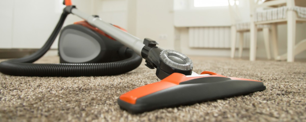 Vacuuming the carpet in the living room