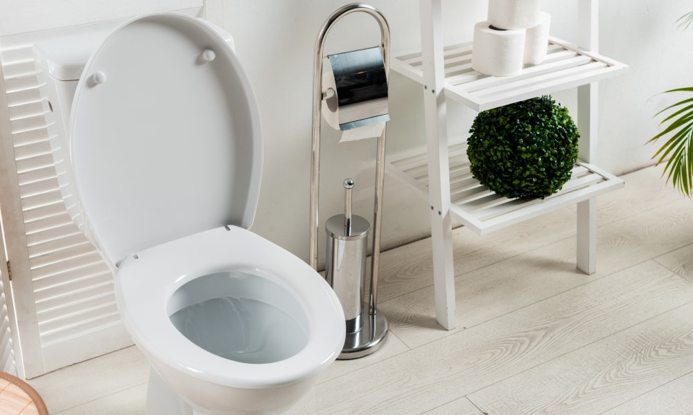 White modern bathroom with toilet bowl near folding screen, toilet brush, toilet paper