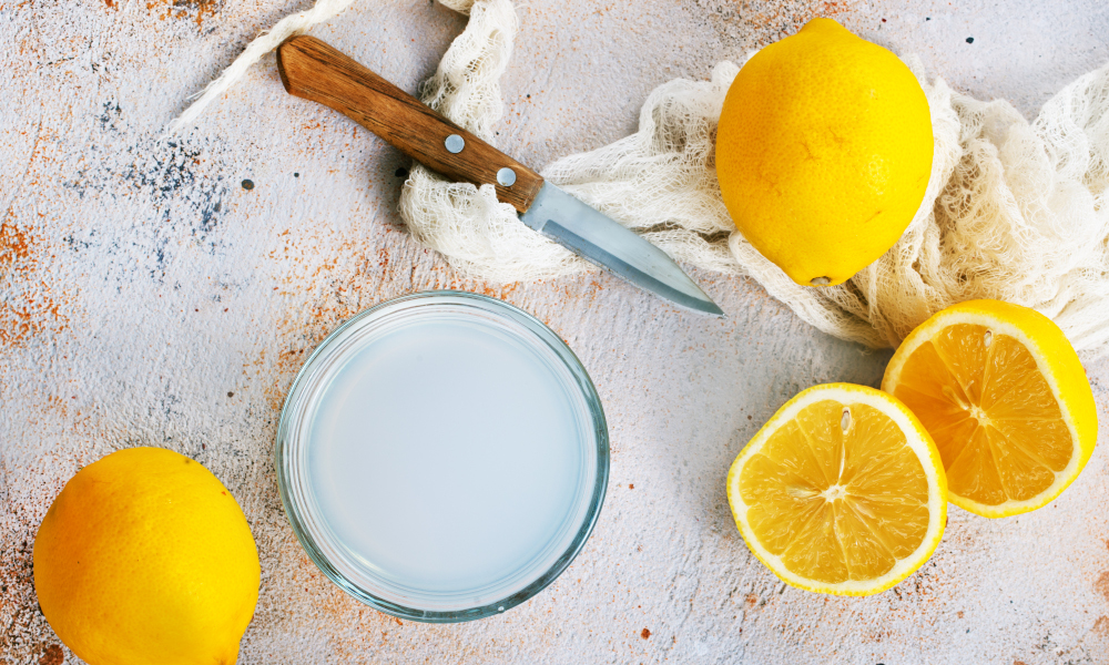 Sliced lemons and lemon juice in glass on a textured table