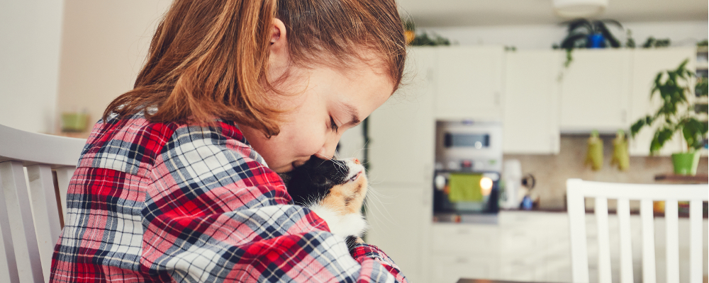 Child with pet cat at the dining table