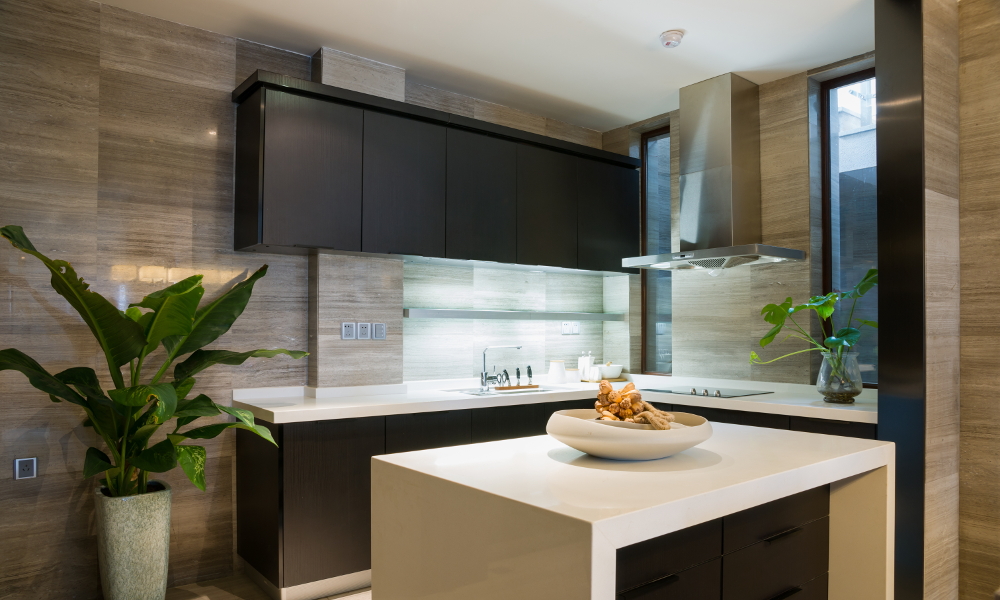 contemporary luxe kitchen with white quartz countertop and plant decor