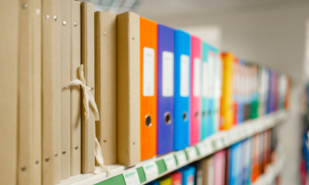 File shelf in office document room