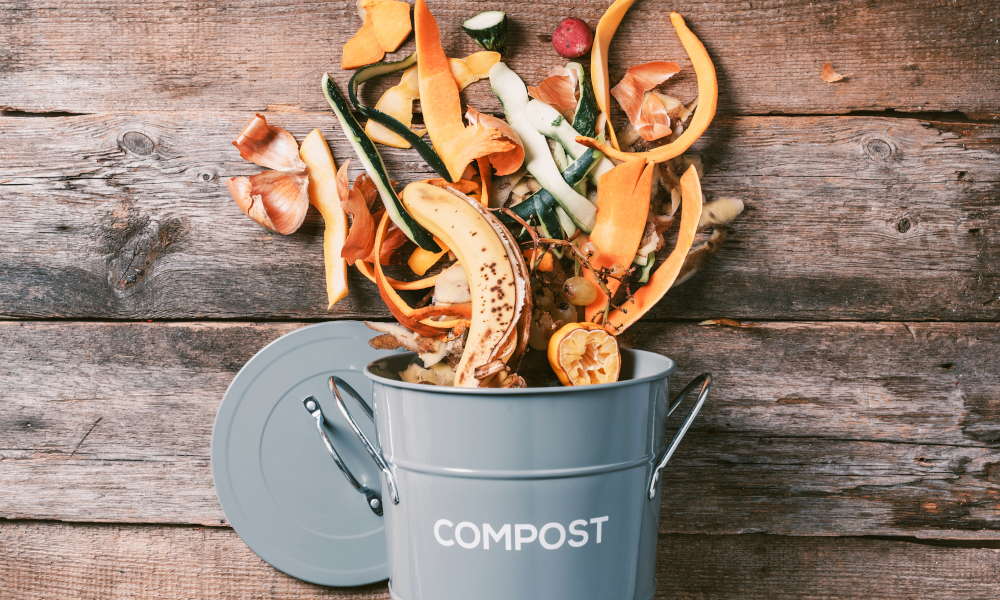 Vegetable scraps and fruit peels in a compost bin