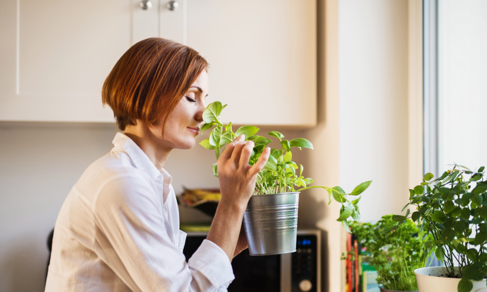 A young woman with closed eyes standing indoors in kitchen, smelling herbs.