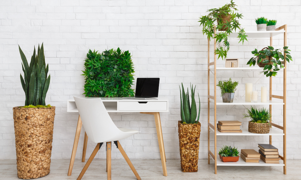 Cosy workstation with decorative potted plants