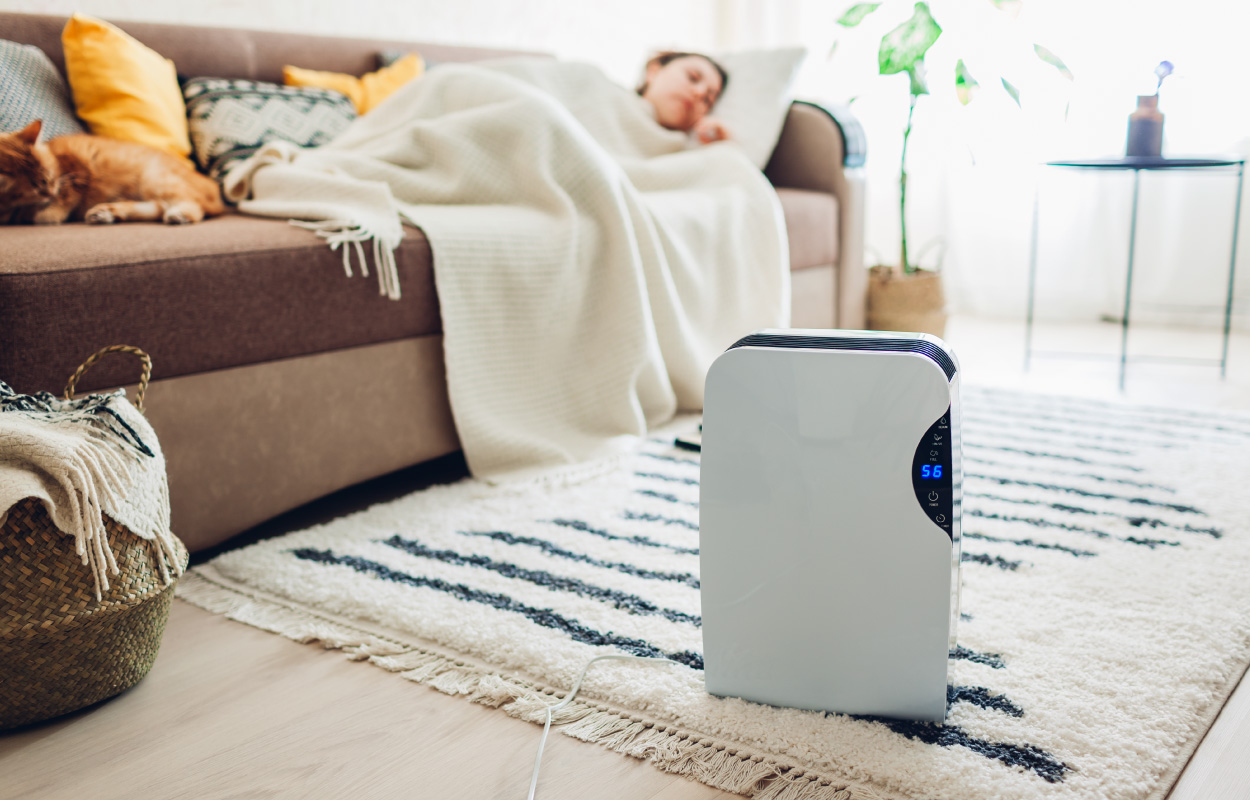 air-purifier-home-improvement