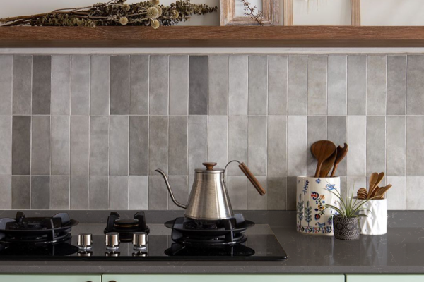 1153 Silver Lago copy