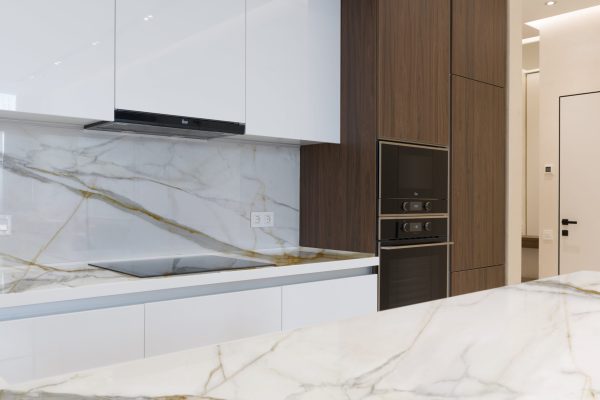 6333 pexels-max-rahubovskiy-6636319 c