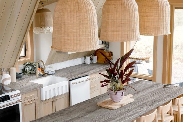 6858 andrea-davis-cVItnZP3D4s-unsplash