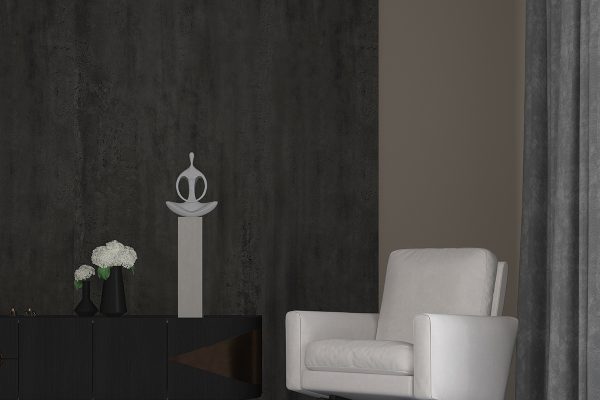 6990 Iron Meteorites-Application-2