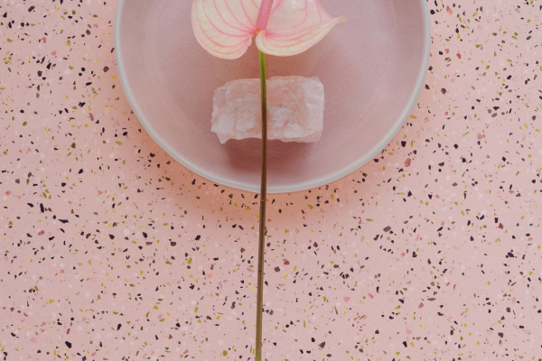 8114 Sakura Fubuki rebootanika-PfBvNnGIhmQ-unsplash copy