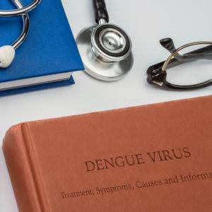 how to keep your home dengue-free
