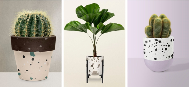 plants in terrazzo pots